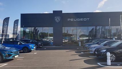 PEUGEOT STELLANTIS &YOU ORVAULT - 44700